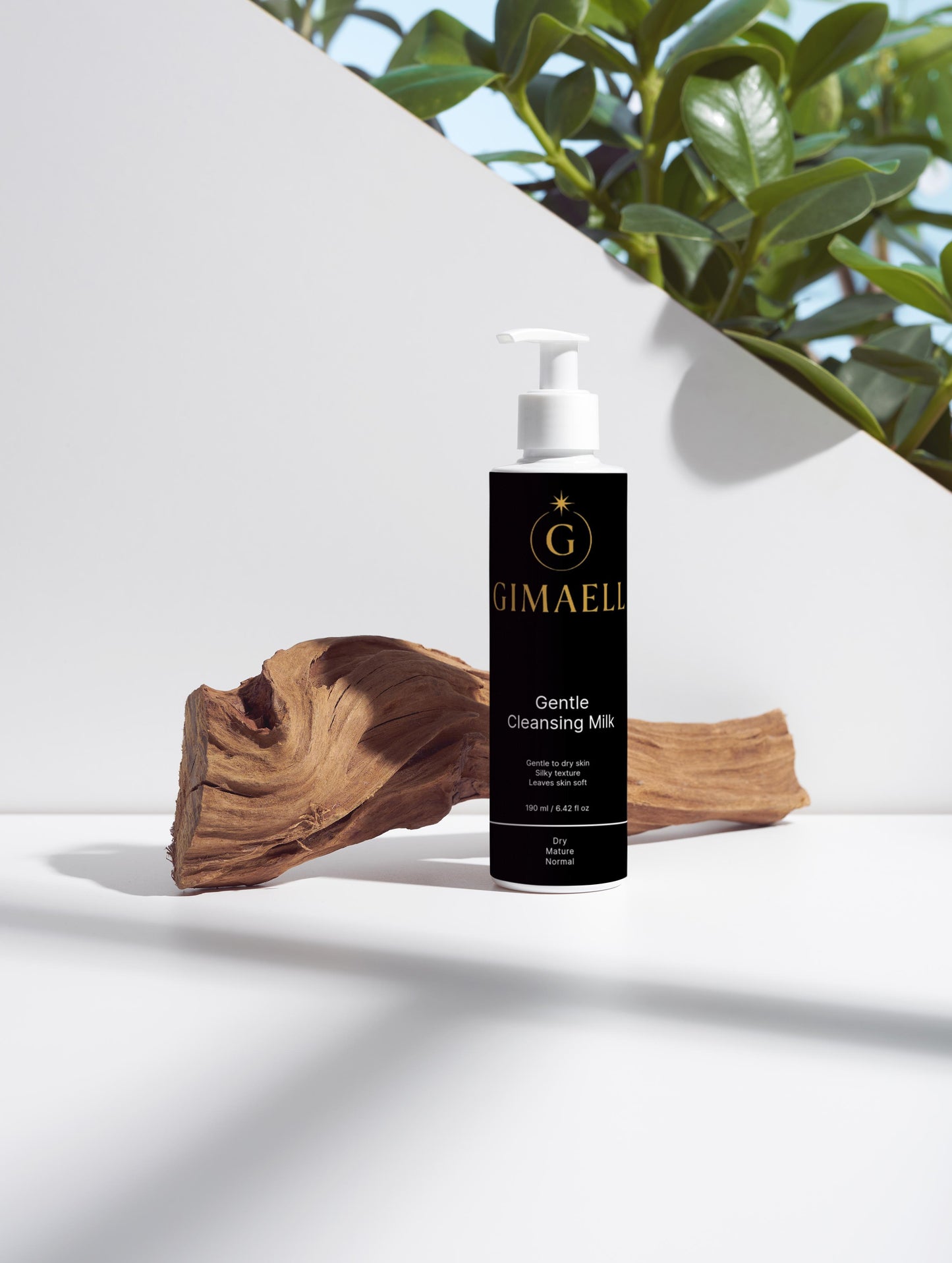 Gentle Cleansing Milk
